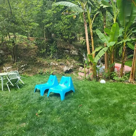 El Bosque De Pria *
