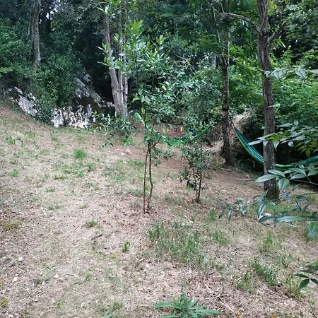 El Bosque De Pria Hotel Piñeres