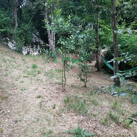 El Bosque De Pria ホテル Piñeres