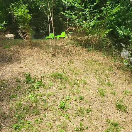 El Bosque De Pria *