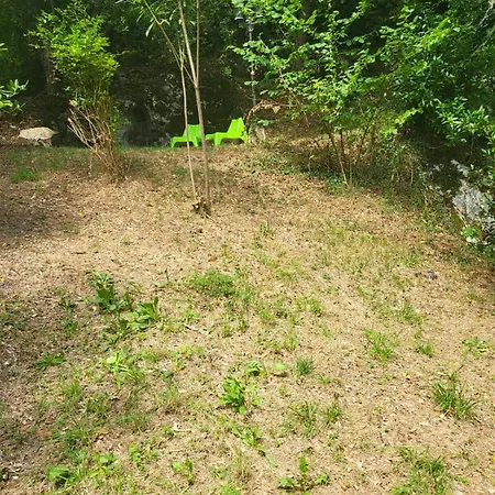 El Bosque De Pria *