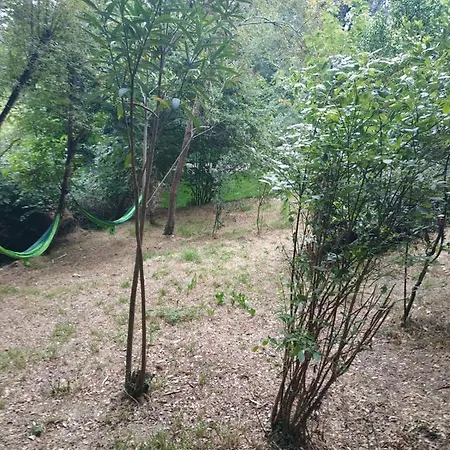 El Bosque De Pria Hotel