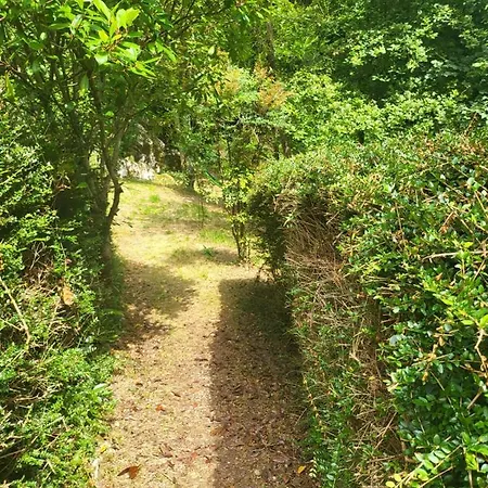 Hotel El Bosque De Pria