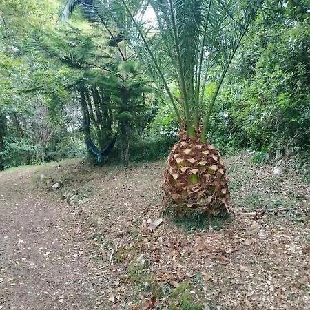 El Bosque De Pria Hotel *
