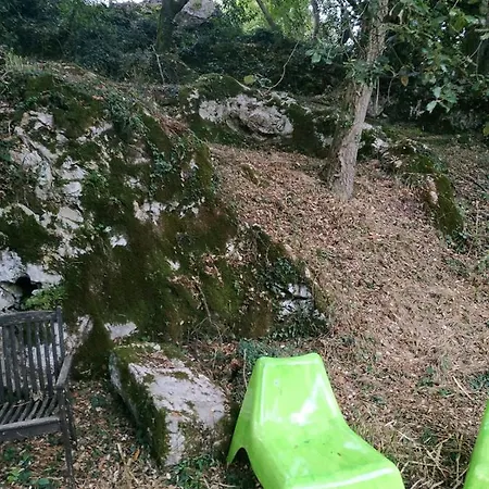 El Bosque De Pria *