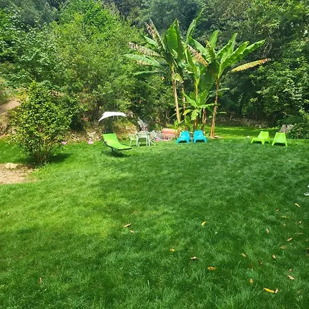 El Bosque De Pria * Piñeres