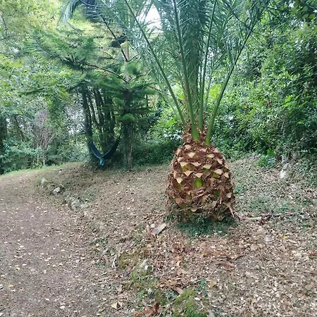 El Bosque De Pria Hotell *